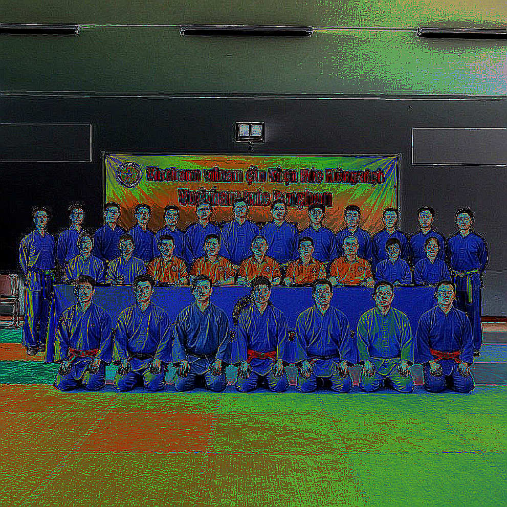 Poomsae Việt Nam ở Chuncheon: vàng tập thể, lỗ hổng cá nhân