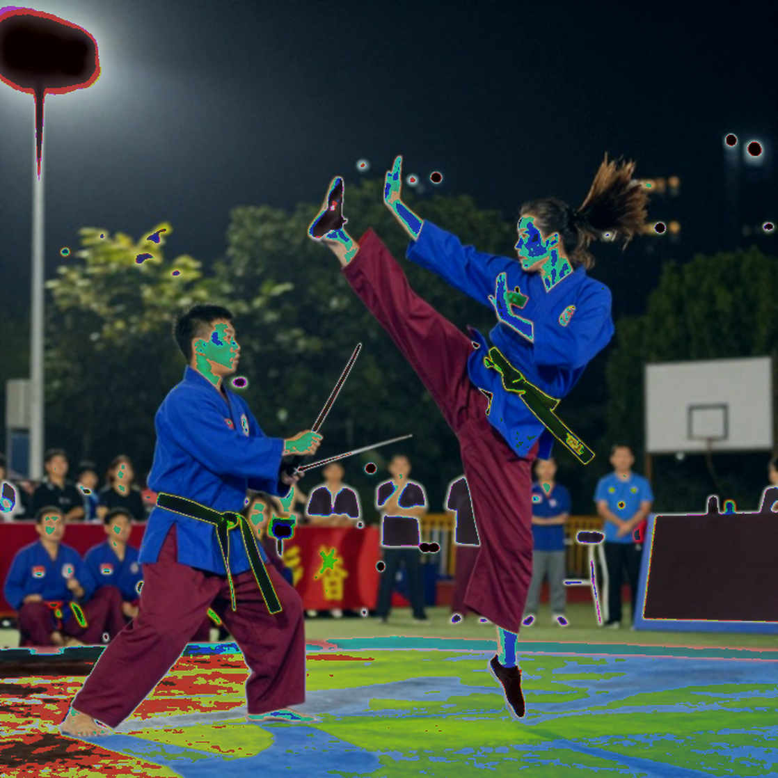 Hai môn trong một cái tên: wushu Việt Nam và hai hệ quy chiếu không thể trộn Hai môn trong một cái tên: wushu Việt Nam và hai hệ quy chiếu không thể trộn