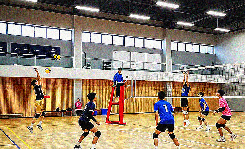 Chín mục phân tích, không một dòng dữ liệu