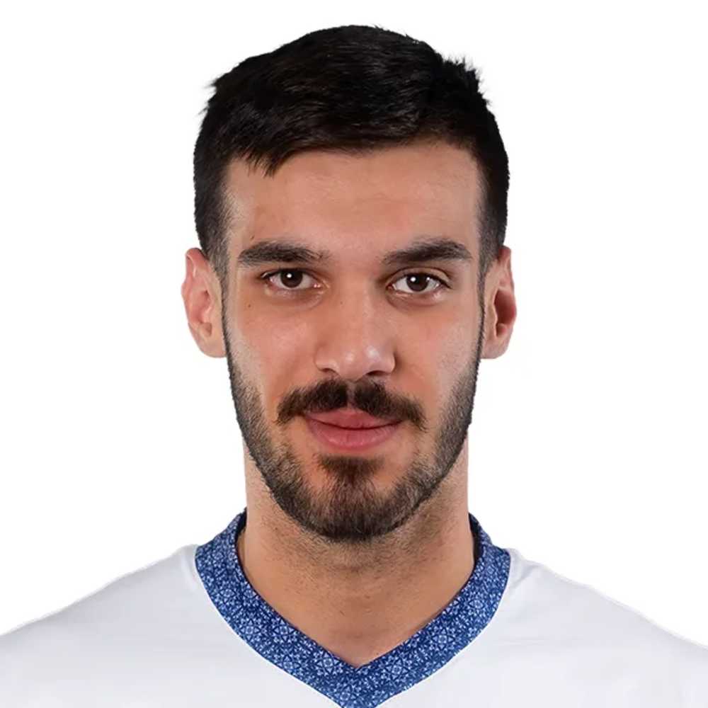 Seyed Matin Hosseini Tolouti